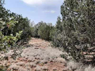 12 Northern AZ off grid acres - image 4