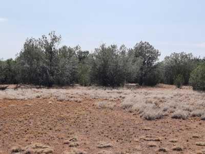 12 Northern AZ off grid acres - image 2