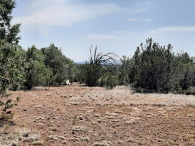 12 Northern AZ off grid acres - image 3