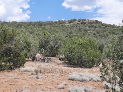12 Northern AZ off grid acres - image 5