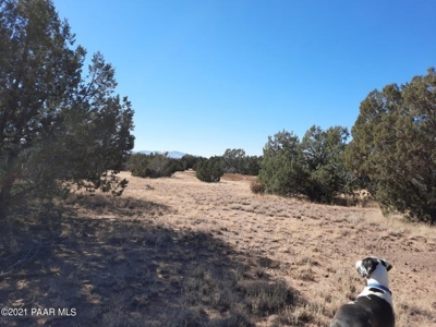 Beautiful Northern Arizona off grid acres - image 8