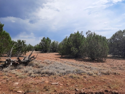 Beautiful Northern Arizona off grid acres - image 4