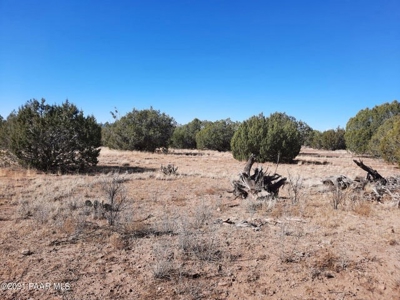 Beautiful Northern Arizona off grid acres - image 9