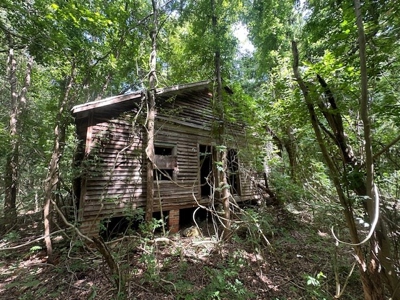 Small Acreage Hunting Property with no Deed Restrictions - image 14