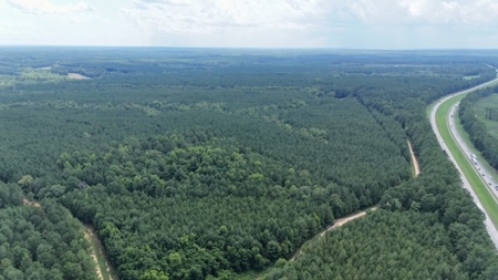 Small Acreage Hunting Property with no Deed Restrictions - image 17