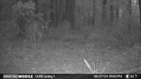 Small Acreage Hunting Property with no Deed Restrictions - image 6