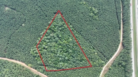 Small Acreage Hunting Property with no Deed Restrictions - image 20