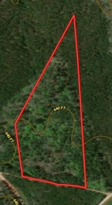 Small Acreage Hunting Property with no Deed Restrictions - image 4