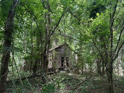 Small Acreage Hunting Property with no Deed Restrictions - image 15
