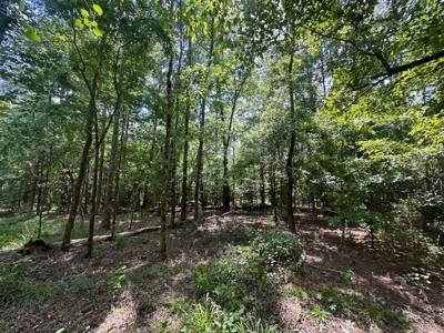 Small Acreage Hunting Property with no Deed Restrictions - image 10