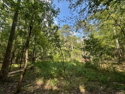 Small Acreage Hunting Property with no Deed Restrictions - image 9