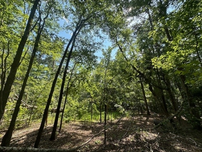 Small Acreage Hunting Property with no Deed Restrictions - image 11