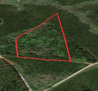 Small Acreage Hunting Property with no Deed Restrictions - image 3