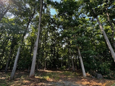 Callands Charmer: Remodeled 2-Bed Home on 9 Acres In VA! - image 14