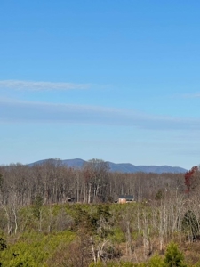 Callands Charmer: Remodeled 2-Bed Home on 9 Acres In VA! - image 8