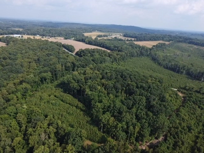 Callands Charmer: Remodeled 2-Bed Home on 9 Acres In VA! - image 4