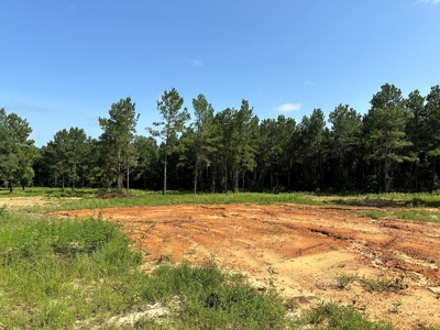 East Texas Recreational/Hunting Property For Sale - image 18