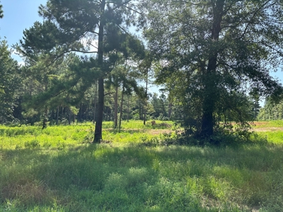 East Texas Recreational/Hunting Property For Sale - image 14
