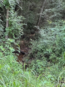 East Texas Recreational/Hunting Property For Sale - image 22