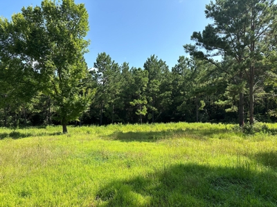East Texas Recreational/Hunting Property For Sale - image 13