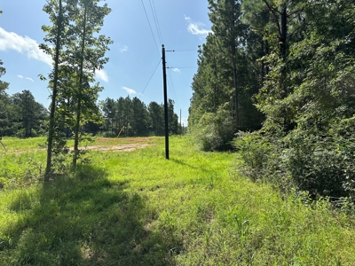 East Texas Recreational/Hunting Property For Sale - image 16
