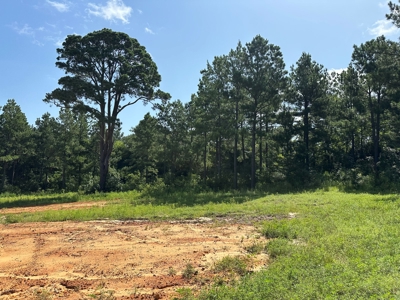 East Texas Recreational/Hunting Property For Sale - image 19