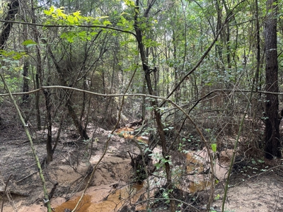 East Texas Recreational/Hunting Property For Sale - image 27