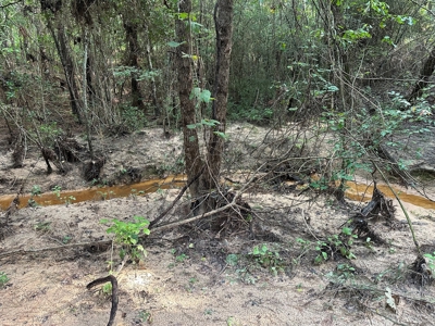 East Texas Recreational/Hunting Property For Sale - image 26