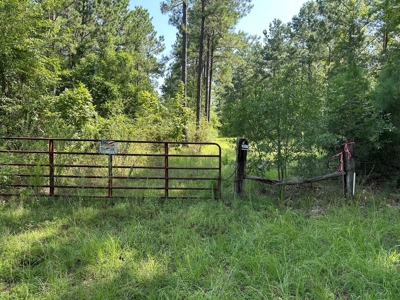 East Texas Recreational/Hunting Property For Sale - image 20