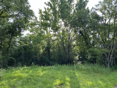 East Texas Recreational/Hunting Property For Sale - image 21