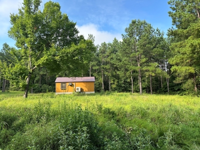 East Texas Recreational/Hunting Property For Sale - image 12