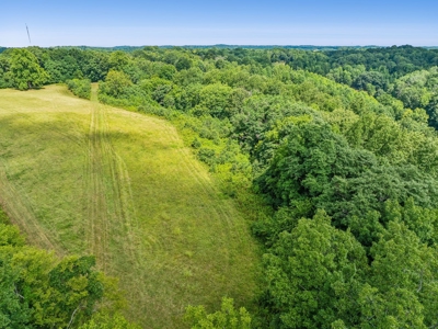 Land for Sale with Acreage in Giles County Tennessee - image 12