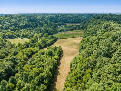 Land for Sale with Acreage in Giles County Tennessee - image 14
