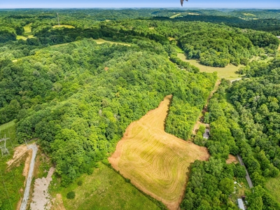 Land for Sale with Acreage in Giles County Tennessee - image 8