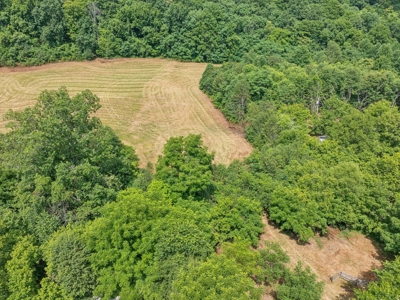 Land for Sale with Acreage in Giles County Tennessee - image 6