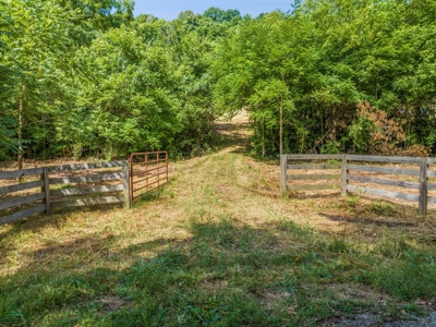 Land for Sale with Acreage in Giles County Tennessee - image 1