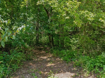 Land for Sale with Acreage in Giles County Tennessee - image 4
