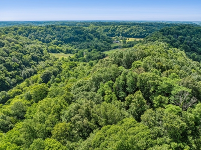 Land for Sale with Acreage in Giles County Tennessee - image 13