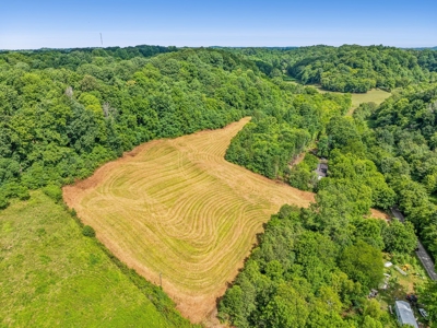 Land for Sale with Acreage in Giles County Tennessee - image 9