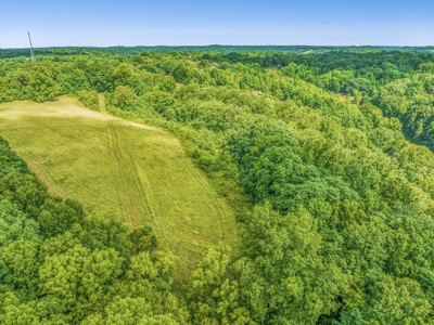 Land for Sale with Acreage in Giles County Tennessee - image 11