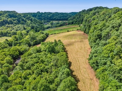 Land for Sale with Acreage in Giles County Tennessee - image 15
