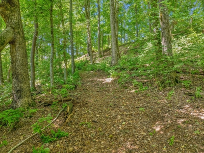 Land for Sale with Acreage in Giles County Tennessee - image 17