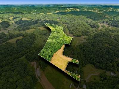 Land for Sale with Acreage in Giles County Tennessee - image 2