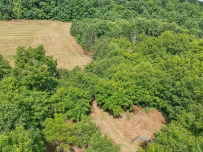 Land for Sale with Acreage in Giles County Tennessee - image 5