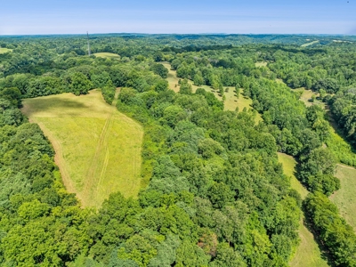 Land for Sale with Acreage in Giles County Tennessee - image 16