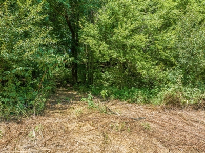 Land for Sale with Acreage in Giles County Tennessee - image 18