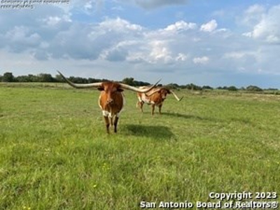 Ranch Home with Acreage For Sale in Floresville, Texas - image 44