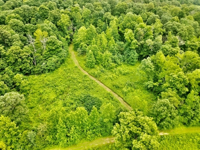 25-Acre Hunting Property Bordering State, Perry County - image 1