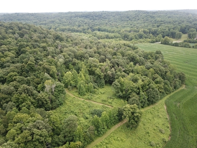 25-Acre Hunting Property Bordering State, Perry County - image 3