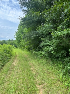 25-Acre Hunting Property Bordering State, Perry County - image 20